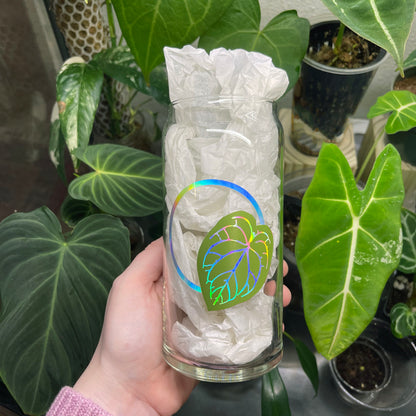 holographic anthurium can glass 20oz. w/ lid & straw