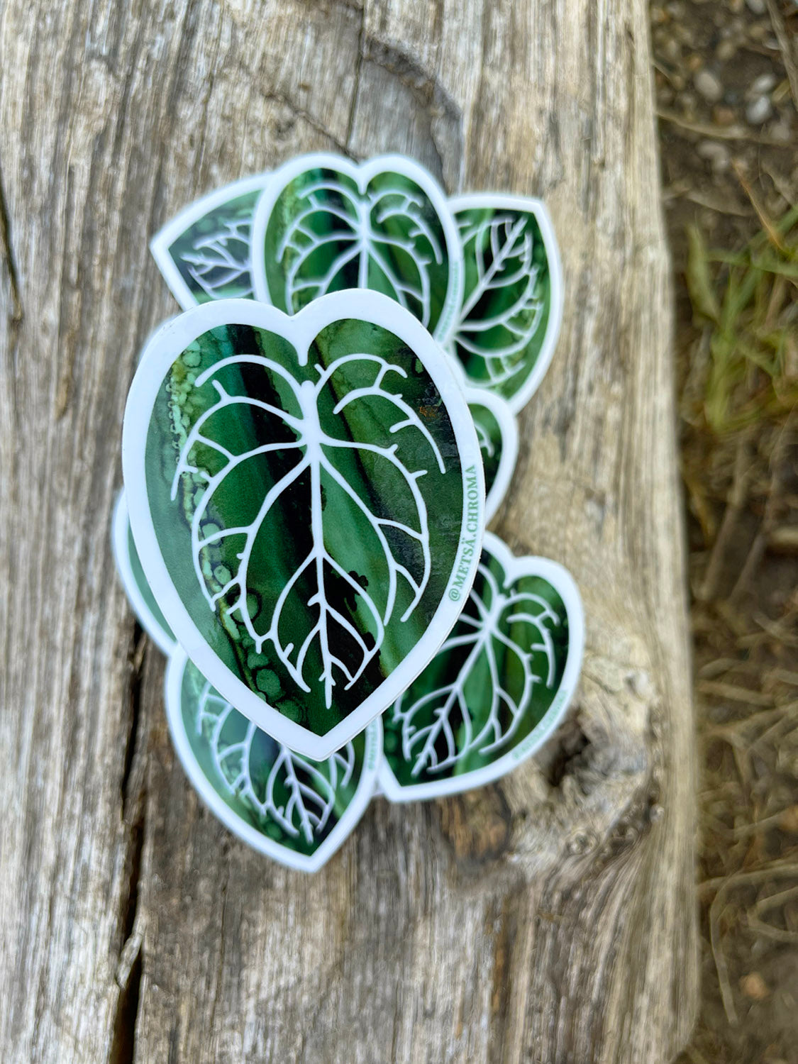 anthurium leaf hand painted decal houseplant sticker