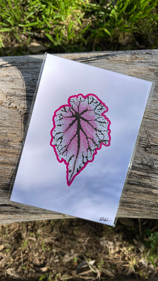 pink begonia leaf illustration print