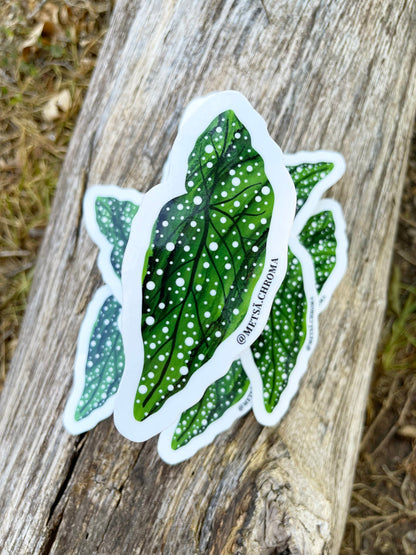 polka dot begonia leaf sticker
