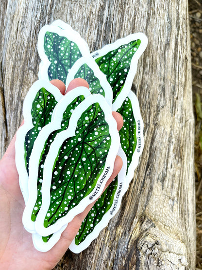 polka dot begonia leaf sticker