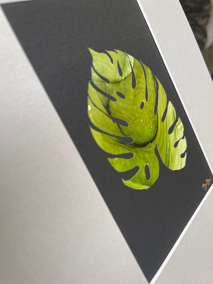 monstera leaf painting grey 8x10 mat board