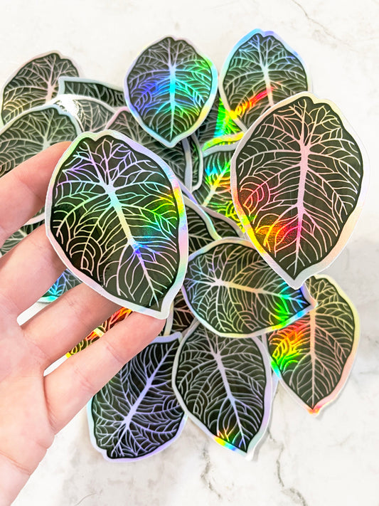 black velvet alocasia sticker holographic rainbow decal