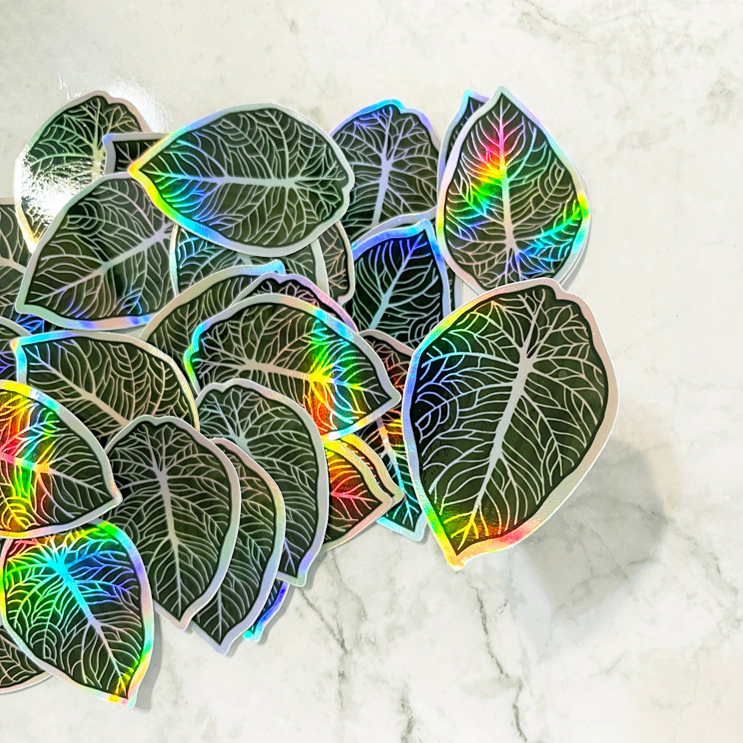 black velvet alocasia sticker holographic rainbow decal