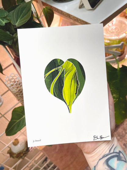 plant leaf art prints