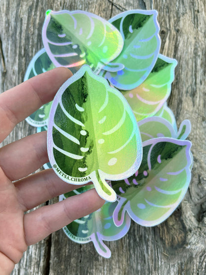 variegated monstera holographic decal