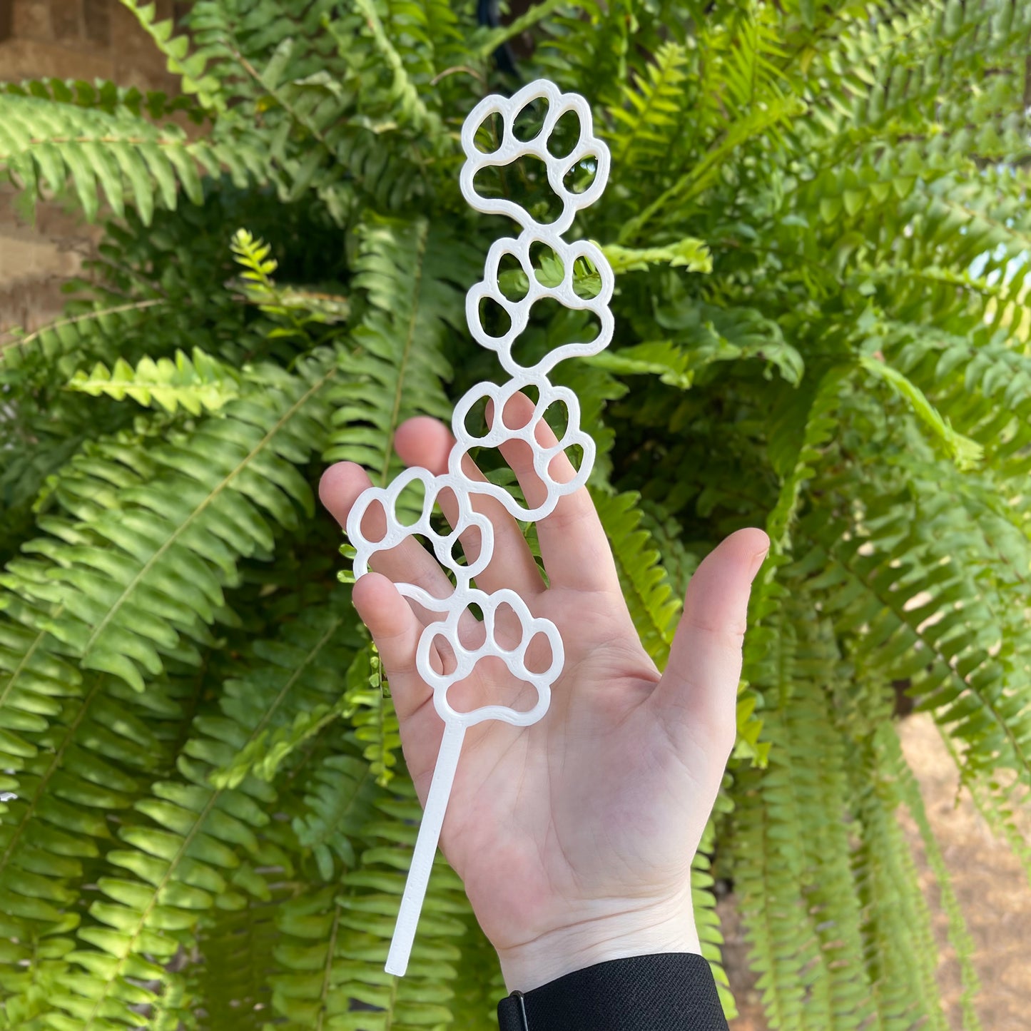 paw print plant trellis