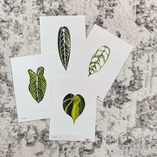 plant leaf art prints