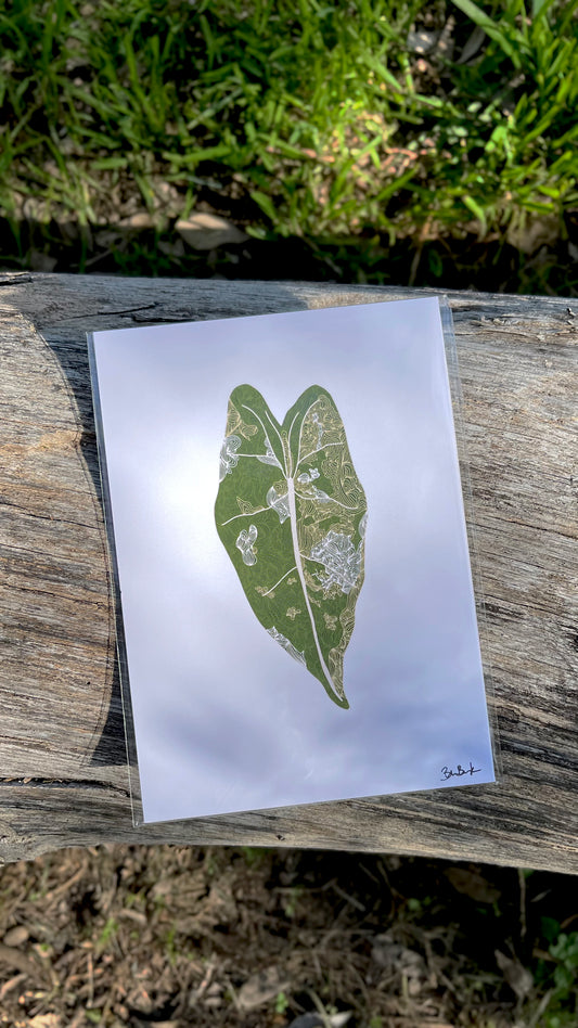 variegated frydek alocasia illustration print