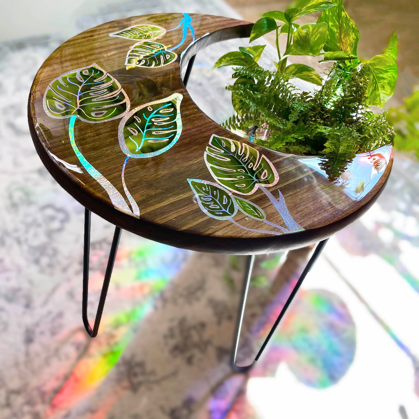 monstera leaves crescent moon plant table w/ hairpin legs